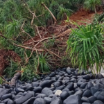 Longsor Timbun Sumber Air Bersih, Warga Kampung Matutuang Terancam Krisis Air Minum