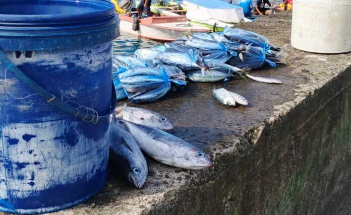 Harga Ikan di Pasar Towo’e melambung tinggi. (Foto: Ist)