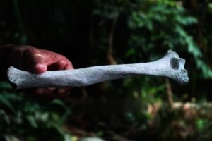 Wawehesolang: Dendam Ksatria dari Nusa Tabukan