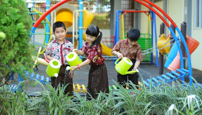 Manfaat anak anak bermain di luar rumah. (Foto: Pexels)