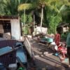 Selain Marore, Kampung Simueng Laporkan 39 Rumah Rusak Akibat Gempa M7,7