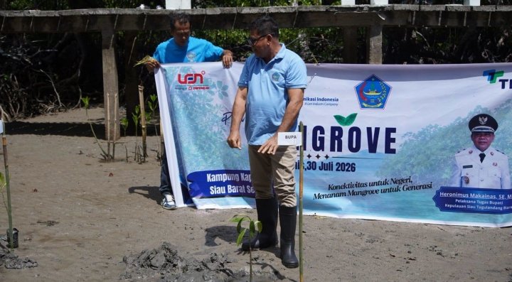 Tanam 1.100 Mangrove di Kapeta Menjadi Benteng Hijau Pesisir Sitaro