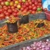 Harga Cabai di Sangihe Meroket, Cabai Rawit Tembus Rp180 Ribu per Kilogram