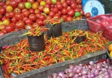Harga Cabai di Sangihe Meroket, Cabai Rawit Tembus Rp180 Ribu per Kilogram