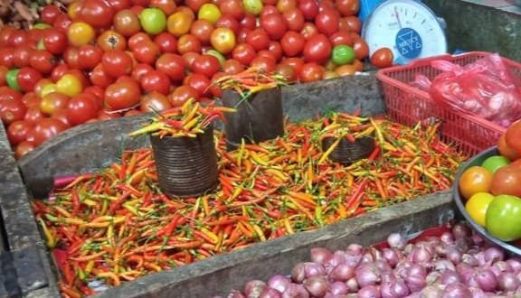 Harga Cabai kembali naik di Sangihe. (Foto: Ist)